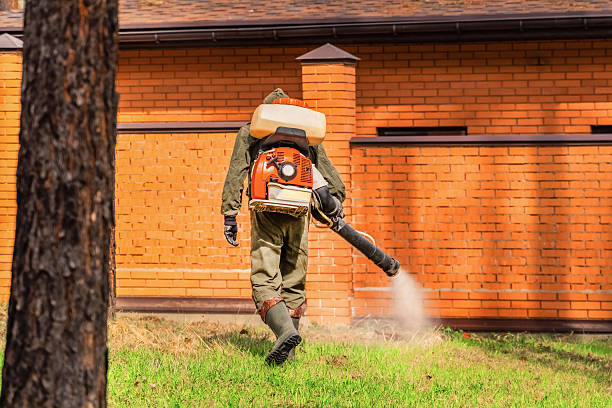 Trusted Fumigation Services service in Waipio, HI - Nex Pest Control